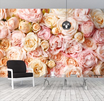 Picture of Many beautiful roses as background top view